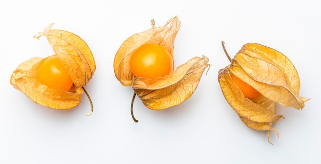 Blüten und Früchte von Fisalis (Physalis peruviana) isoliert von oben gesehen.