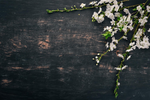 Blume der Frühlingsbäume Auf einem hölzernen Hintergrund Ansicht von oben Kopieren Sie Platz