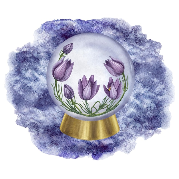 Blume lila Pulsatilla Prairie Crocus Cutleaf Anemone Inside Kristallkugel Aquarell-Illustration