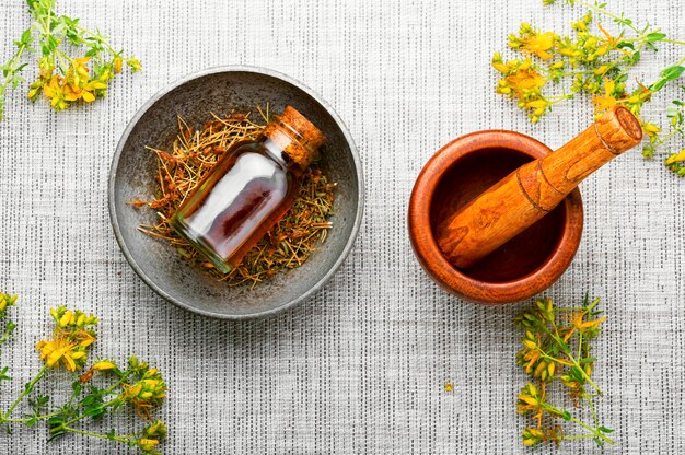 Blume mit grünen Blättern Hypericum, Kräutermedizin