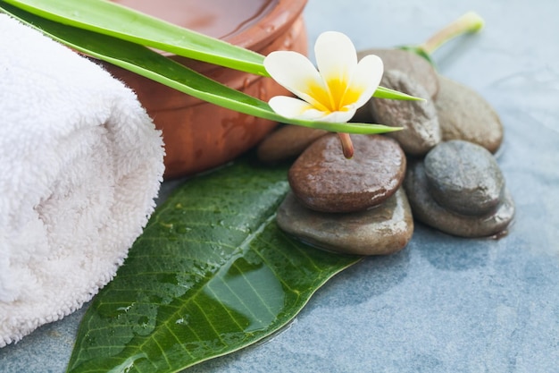 Blume mit zwei grünen Blättern und Spa-Objekten für die Massagebehandlung