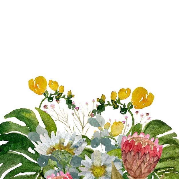 Blume Protea Gänseblümchen Palmblätter Grenze. Eine Aquarellillustration. Handgezeichnete Textur, isoliert.