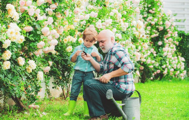 Blume Rosenpflege und Gießen Großvater mit Enkel gemeinsame Gartenarbeit Gärtner im Garten ho