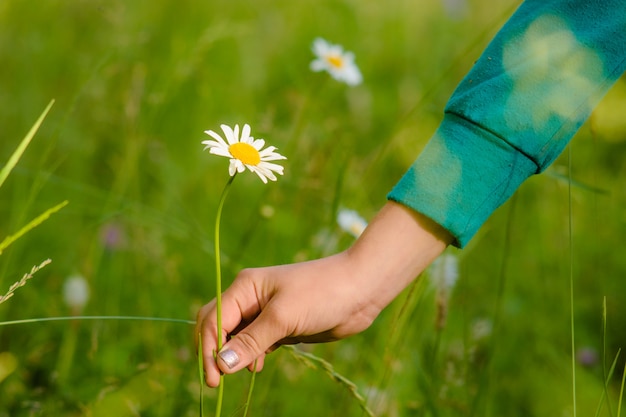 Blume und Hand