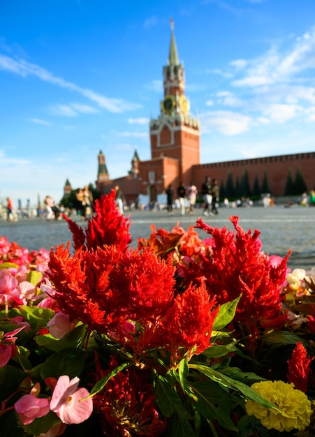 Blumen auf dem Roten Platz im Sommer Moskau Russland