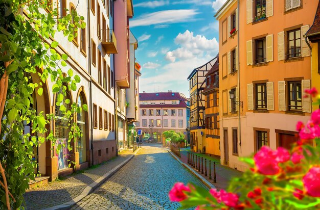 Foto blumen auf der straße