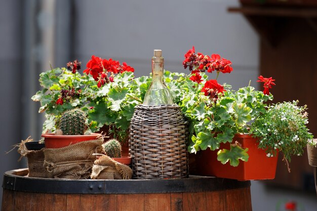 Blumen auf der Terrasse im Restaurant