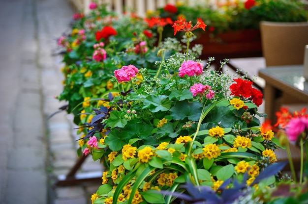 Blumen auf der Terrasse im Restaurant