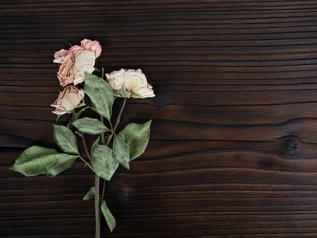 Blumen auf dunklem hölzernem Hintergrund, flache Lage