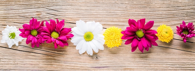 Blumen auf Holztisch, langes Banner.