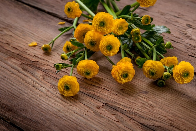 Foto blumen auf holzuntergrund