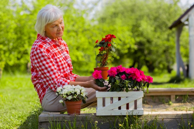 Blumen betrachten. Grauhaarige Rentnerin, die sich gut fühlt, während sie schöne Blumen in Töpfen betrachtet