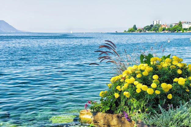 Blumen blühen am Ufer des Genfer Sees in Montreux, Schweiz