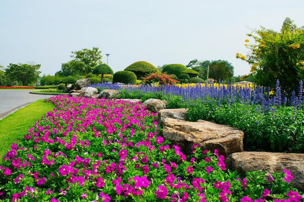 Blumen blühen im Park gegen den Himmel