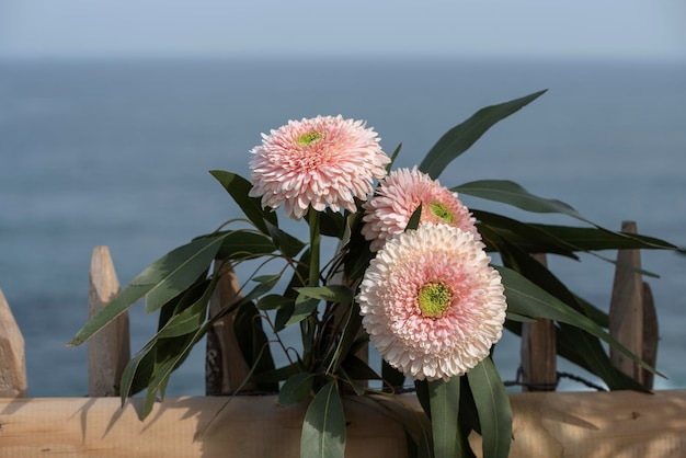 Blumen blühten bereits im Frühling