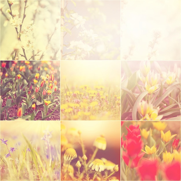 Blumen-Collage