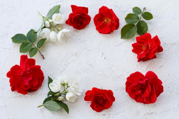 Blumen der Rose auf weißem Hintergrund