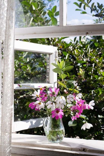 Blumen des Kosmos in der Glasvase auf der Fensterbank in der Landschaft