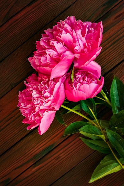 Blumen eines Pfingstrosen auf hölzernem Hintergrundkonzept Muttertag