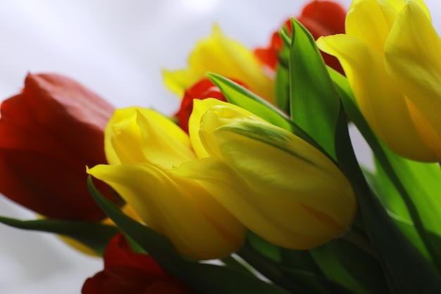 Blumen, Frühlingsferien und Wohnkulturkonzept - Blumenstrauß aus schönen Tulpen, Blumenhintergrund