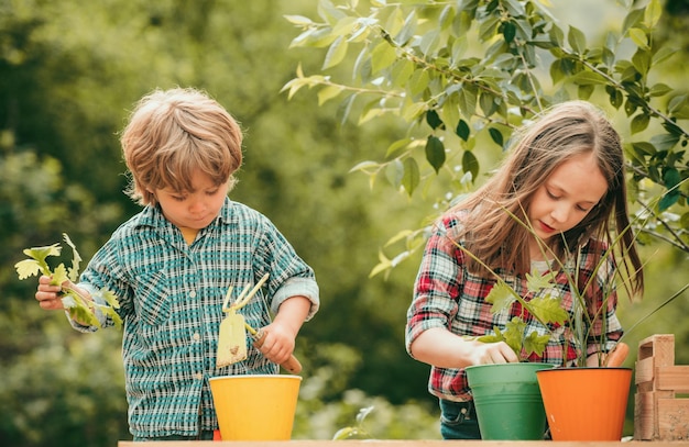 Blumen im Topf pflanzen sorglose Kindheit Schaufel Blumen pflanzen amerikanische Kinder auf dem Bauernhof