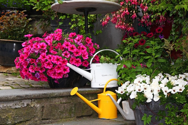 Blumen im Vintage-Haus in der Stadt Bergen Norwegen