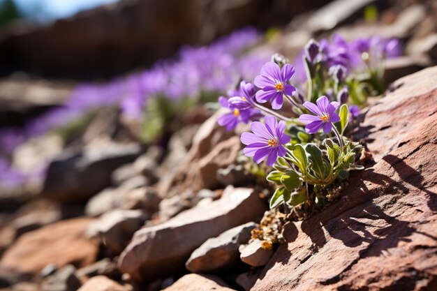 Blumen in Bergfelsrissen Generative Ai