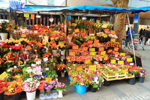 Blumen in einem Blumengeschäft im Freien bereit, mit einer Vielzahl von Töpfen mit Pflanzen verkauft zu werden