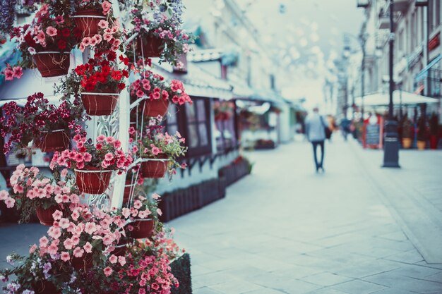 Foto blumen in einem korb auf der straße.