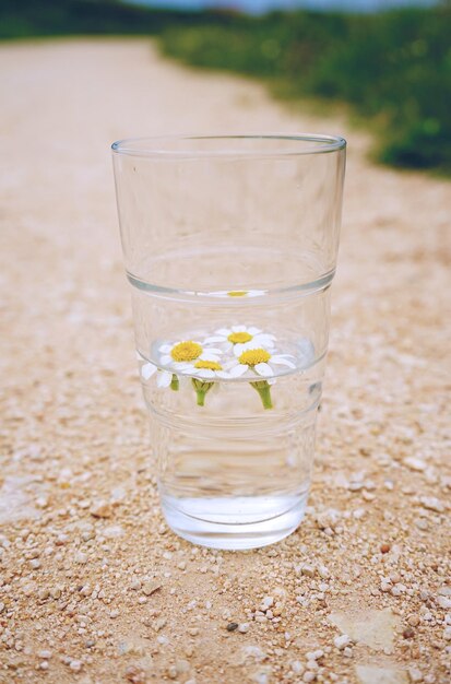 Foto blumen in glas auf sand