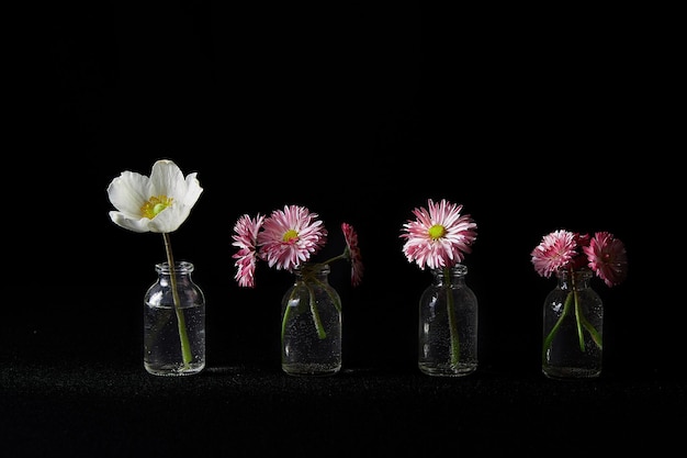 Blumen in Glasvasen auf schwarzem Hintergrund