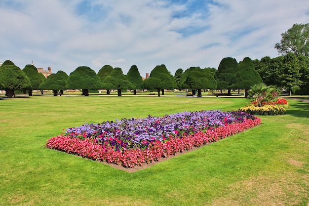 Blumen in HAMPTON Court England