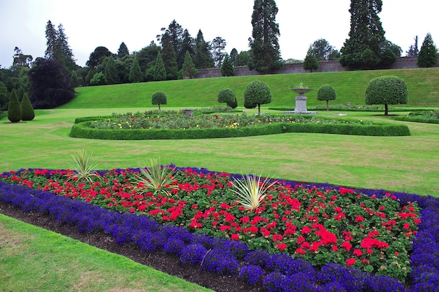 Blumen in Powerscourt Gardens and House, Dublin, Irland