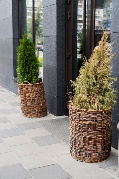 Blumen in Steinkübeln Dekoration mit Pflanzen der städtischen Umgebung