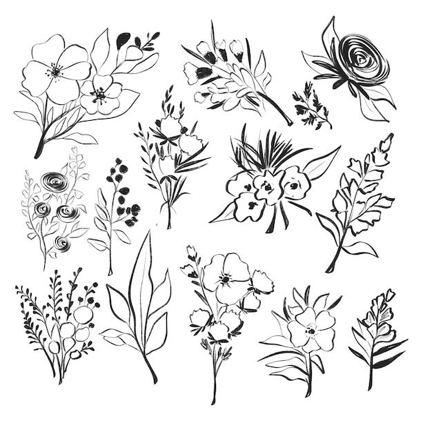 Blumen-Linien-Umriss-Set