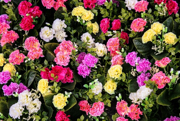 Blumen mischten Blumenstrauß für Hintergrund