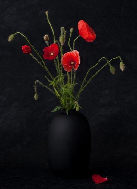 Blumen Mohnblumen in einer Vase auf schwarzem Grunge-Hintergrund