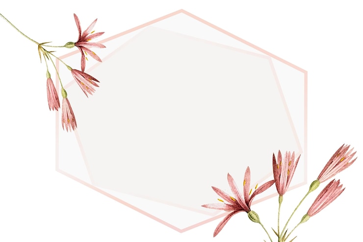 Foto blumen-png-abzeichen durchsichtiger hintergrund