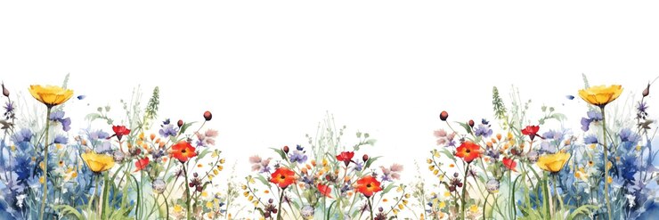 Blumen-Sommer-Wasserfarben-Banner Mehrfarbige wilde Wiesenblumen und Kopierraum auf Weiß