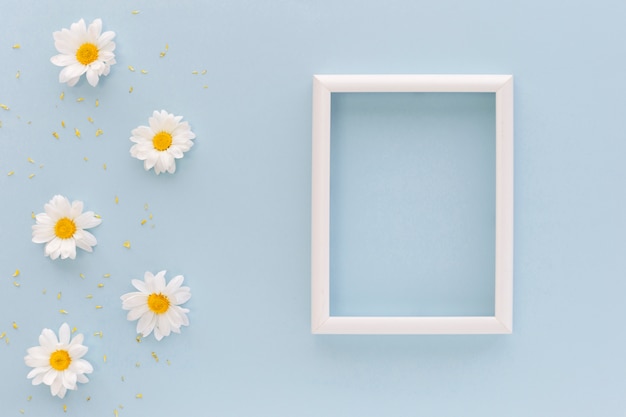 Blumen und blütenstaub des weißen gänseblümchens nahe leerem bilderrahmen auf blauem hintergrund