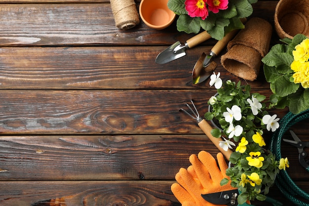 Blumen und Gartengeräte auf hölzernem Hintergrund, Draufsicht