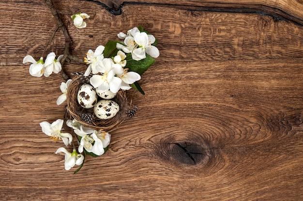 Blumen und Osternest mit Eiern auf hölzernem Hintergrund