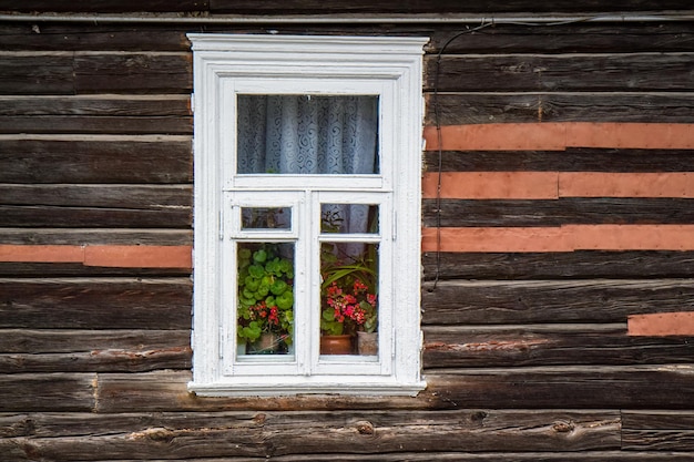 Blumen und Vorhänge im Fenster eines alten Holzhauses