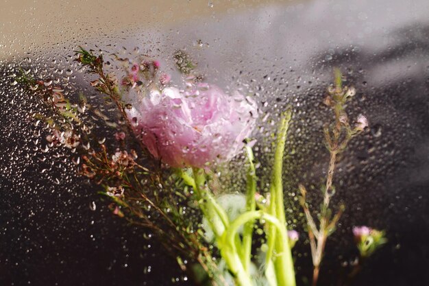 Blumen unter Glas und Wassertropfen