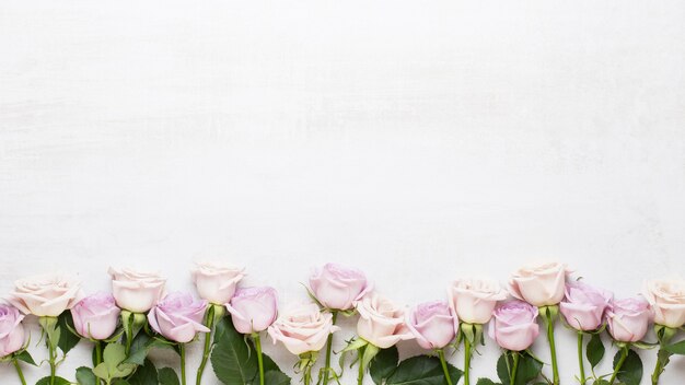 Blumen Valentinstag Grußkarte. Rahmen aus rosa Rose auf grauem Hintergrund. Flache Lage, Draufsicht, Kopierraum.