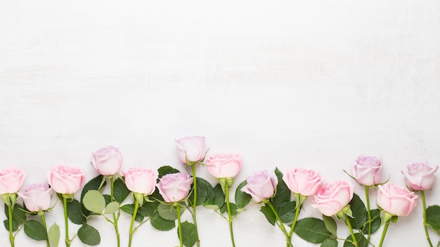 Blumen Valentinstag Zusammensetzung. Rahmen aus rosa Rose auf grauem Hintergrund. Flache Lage, Draufsicht, Kopierbereich.