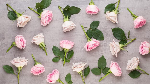 Blumen Valentinstag Zusammensetzung. Rahmen aus rosa Rose auf grauem Hintergrund. Flache Lage, Draufsicht, Kopierraum.