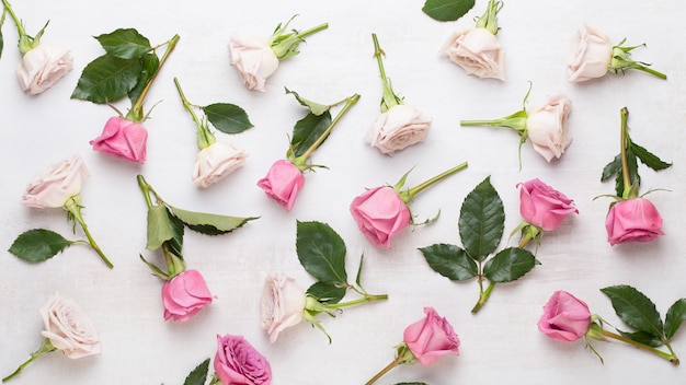 Blumen Valentinstag Zusammensetzung. Rahmen aus rosa Rose auf grauem Hintergrund. Flache Lage, Draufsicht, Kopierraum.