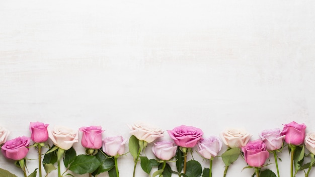 Blumen Valentinstag Zusammensetzung. Rahmen aus rosa Rose auf grauem Hintergrund. Flache Lage, Draufsicht, Kopierraum.