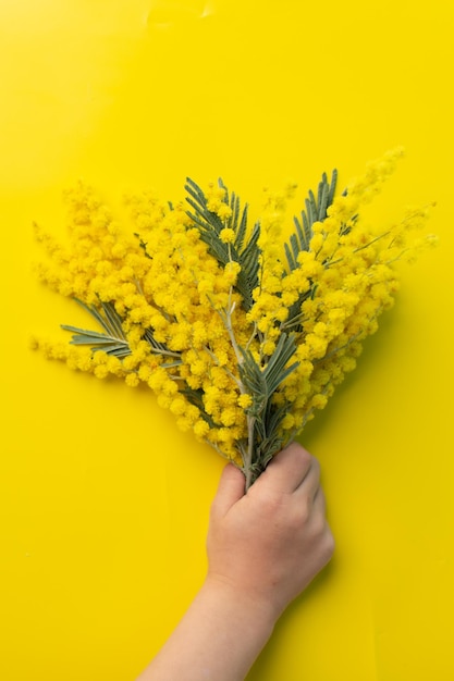 Blumen Zusammensetzung Mimosa Blumen auf der Hand des Kindes auf gelbem Hintergrund Frühlingskonzept